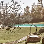 Umbria Luxury Pool&olivetrees *
