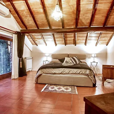 Villa Umbria Luxury Pool&olivetrees Penna in Teverina